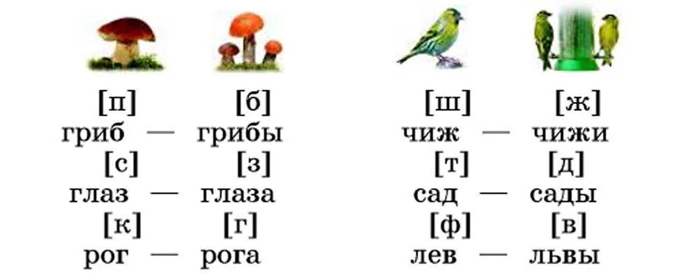 Сравни как произносится. Русский язык. 1 Класс. Прочитай в чем сходство и различие слов в каждой паре. Гриб какой звук на конце слова. Пары слов 1 класс.