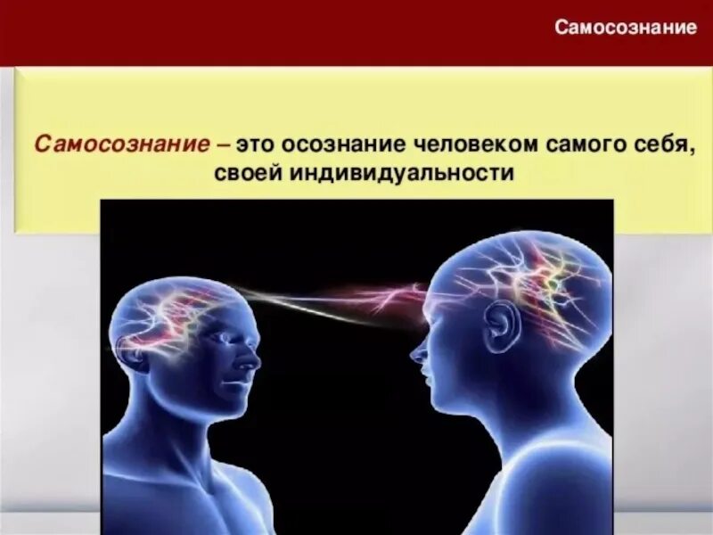 Только часть мыслей человека осознается им верно. Самосознание. Самосознание личности. Самосознание это в психологии. Самосознание это осознание человеком.