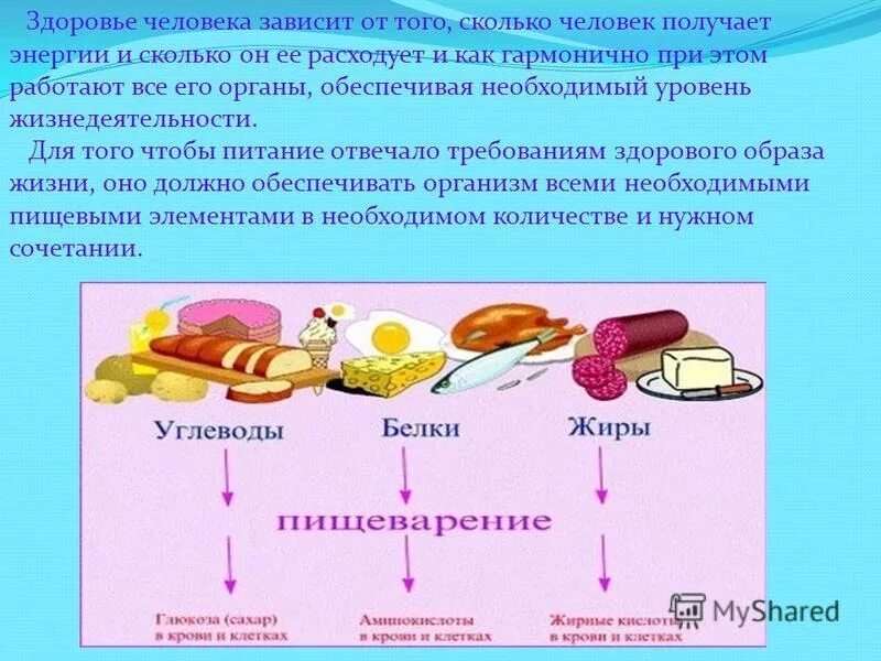 Влияние питания на человека. Организм человека и питание.