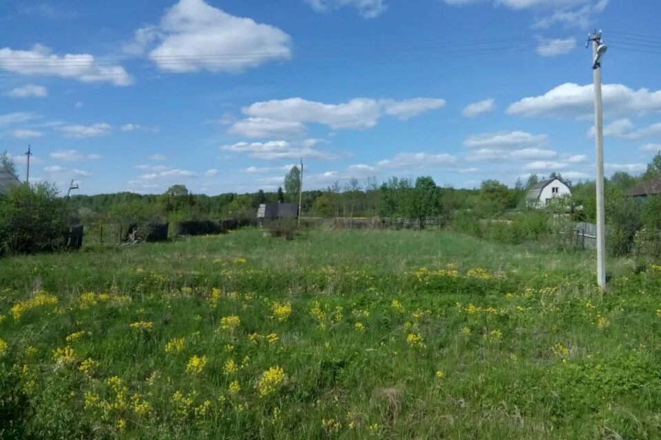 Деревня ермолино новгородская область. Ермолино новгородской. Ермолино новгородской. Ермолино новгородской. Деревня ермолино новгородская область.