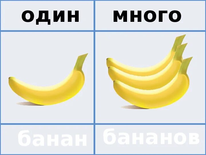 Напиши слова один много. Один - много. Один много слова. Игра один много. Карточки один много для детей.