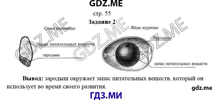 Биология 5 класс стр 21. Биология 5 класс Сухова Строганов. Биология 5 класс Сухова РТ. Опыт страница 78 по биологии 5 класс Сухова Строганов. Биология 5 класс Сухова Строганов учебник параграф 22.