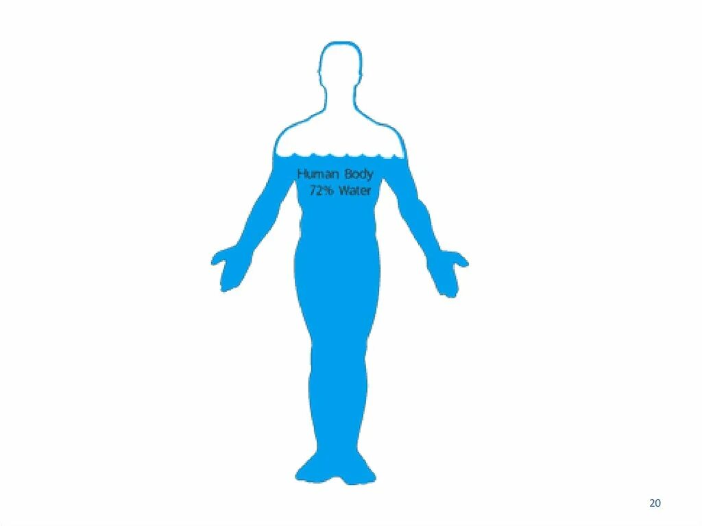 80 процентов людей. 80 процентов людей. Человек состоит иж 70 воды. Процент воды в человеке. Человек на 80 процентов состоит из воды.