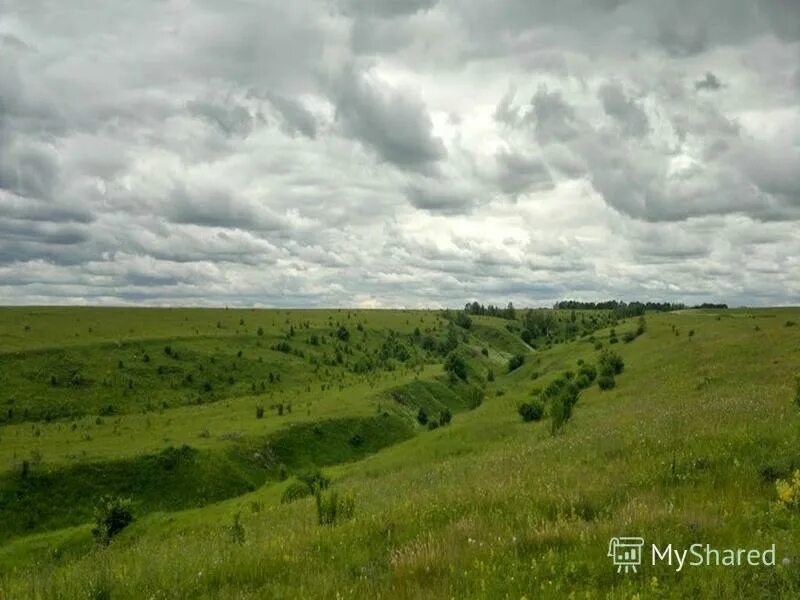 Поверхность нашего края окружающий. Формы земной поверхности Рязанской области. Формы земной поверхности Красноярского края. Форма земной поверхности Ивановской области. Земная поверхность Красноярского края 2 класс.