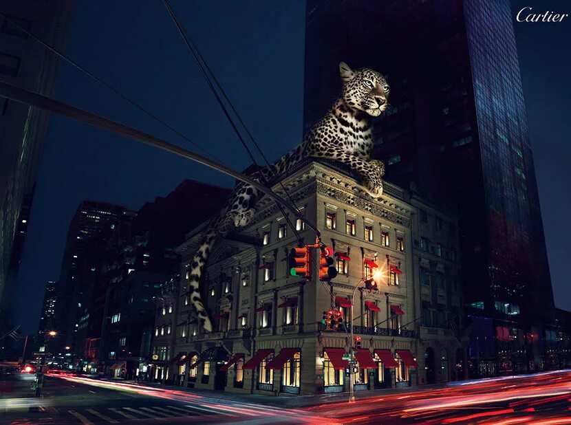 Картье реклама. Реклама картье. Картье баннер. Ювелирные изделия на бордовом фоне. Картье рекламная кампания.