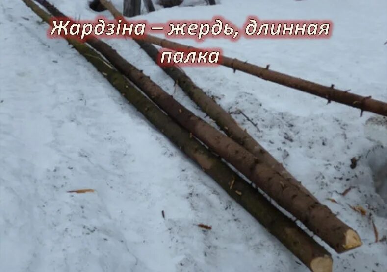 Что такое жердь. Изгородь из жердей. Деревянные жерди. Жердина палка. Деревянные жерди.