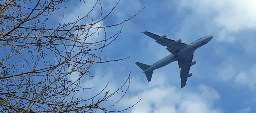 Самолет ненастоящий. Самолеты над Новосибирском 0203. Посадка самолета в Новосибирске. Над НСО летают самолеты 07.06. 14 апреля новосибирск