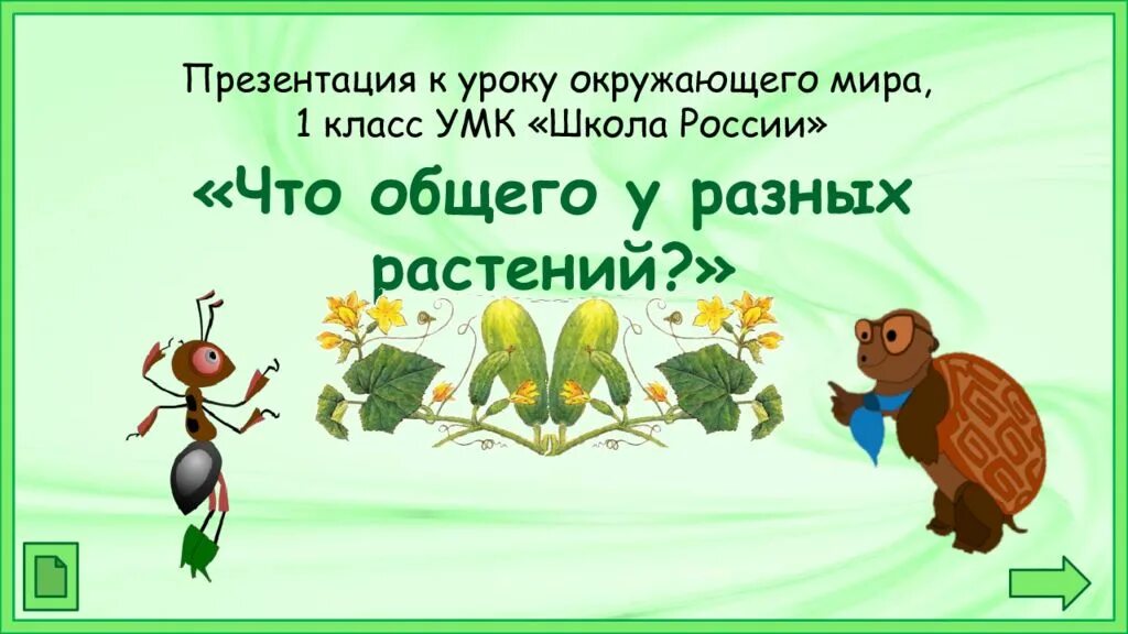 План урока окружающий мир 1 класс. Презентация 1 класс окружающий мир. Презентации к уроку по окружающему миру. Что общего у разных растений.