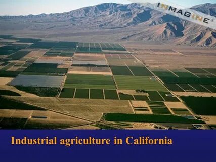 Imperial valley