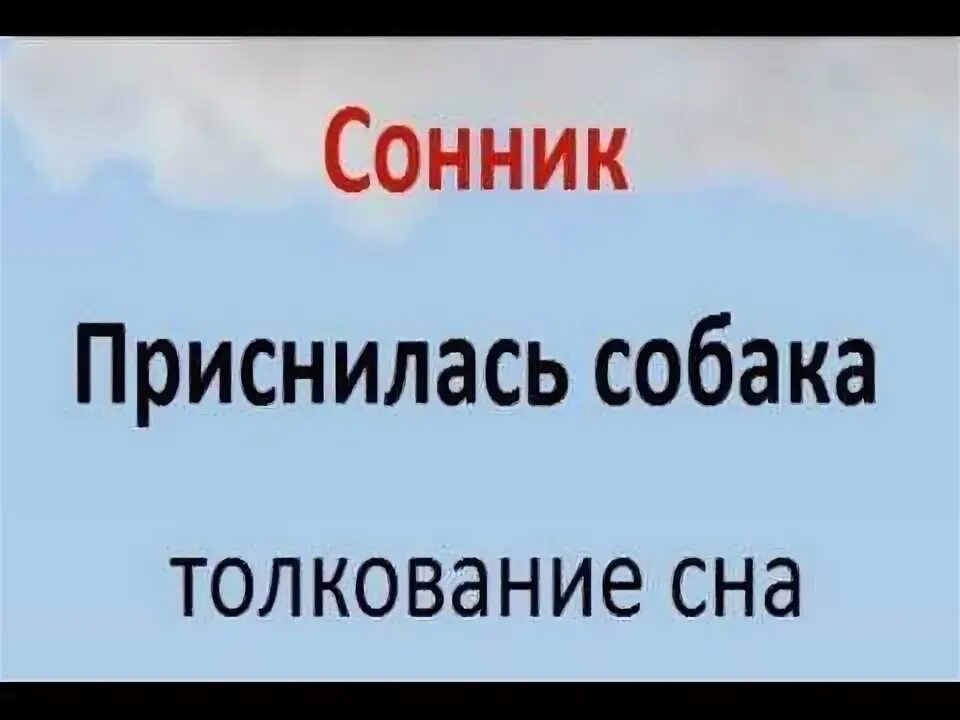 Сонник толкование щенков