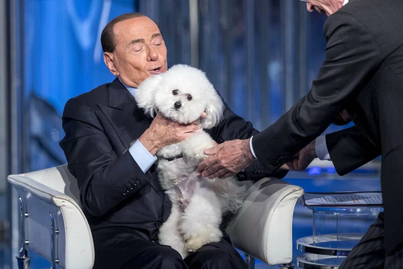 Имя берлускони 7 букв. Сильвио Берлускони с собакой. Берлускони 2006. Собака Бишон Сильвио Берлускони. Берлускони любимая собака.