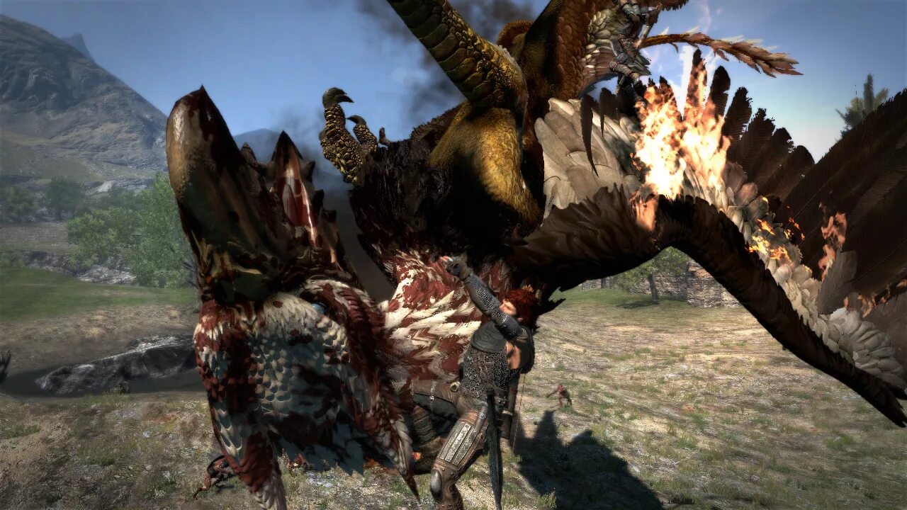 Dragons dogma идолы. Драгонс Догма Грифон. Драгон Догма 2. Dragon's Dogma 2 красный дракон.