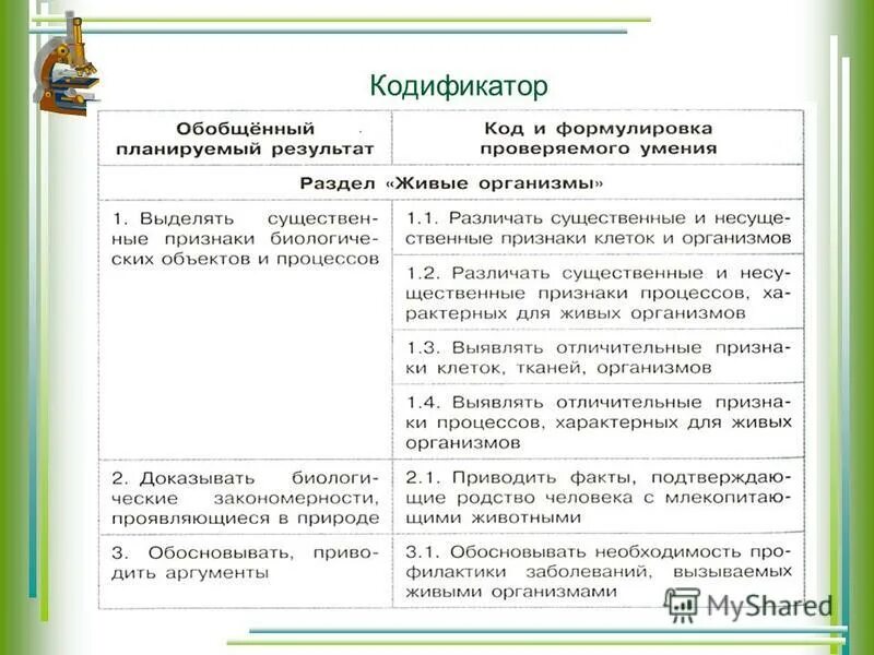 Кодификатор элементов содержания. Кодификатор и спецификатор. Кодификатор программ аооп. Кодификатор умений. Кодификатор.