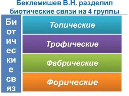 Биотические связи уровень организации