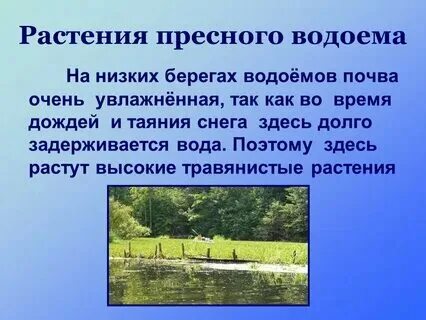 Пресные организмы