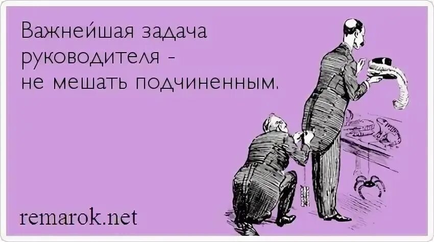 Что делает закричал. Прикольные цитаты про начальника. Если тебе лизнули зад не расслабляйся. Афоризмы про начальника. Про плохого руководителя приколы.