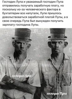 Анекдот пошли лупа и пупа