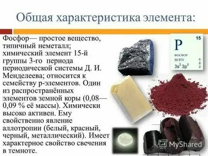 Хим 1 ст