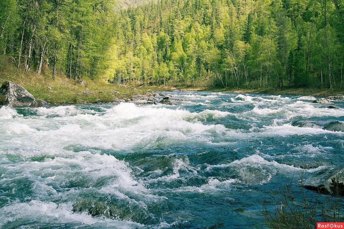 Малые реки красноярского края. Река Кан Красноярский край. Сибирь река Кан. Пороги на реке Кан Красноярского края. Исток реки Кан.