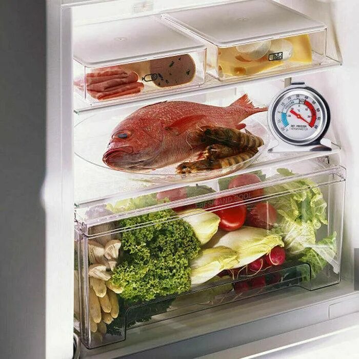 Рыба без холодильника сколько. Холодильник с продуктами. Хранение в холодильнике. Хранение продуктов в холодильнике. Хранение рыбы в холодильнике.
