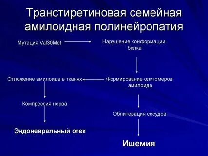 Транстиретиновый амилоидоз