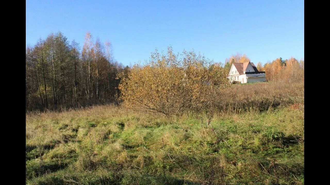 Купить участок в луге. Ореховцы Гдовский район. Щепец Гдовский район. Деревня любимец Гдовский район. Кировская область деревня Ореховцы.