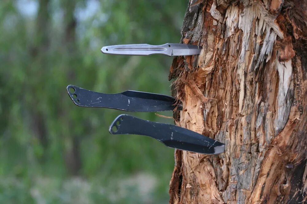 Метательные ножи в дереве. Нож. Дерево. Ножи для метания в дерево. Метание ножей в лесу. Ножевой видео