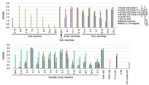 Negative thirty three