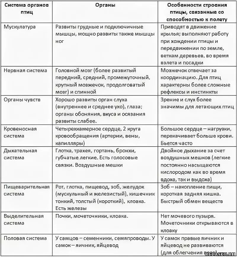 Строение птиц таблица 8 класс. Таблица системы органов. Описание птицы. Строение птиц системы таблица.