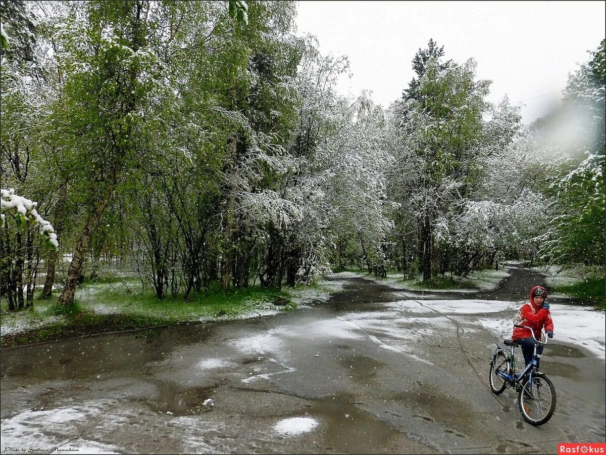 Летний снег. Снег летом. Снежное лето. Снегопад летом.