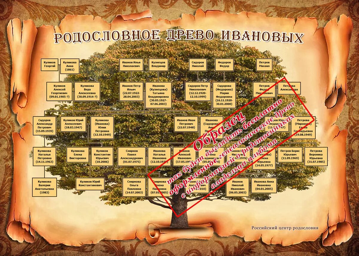 Пример генеалогического древа семьи. Генеалогическое дерево. Родословное дерево семьи. Составление генеалогического дерева. Геологическое дерево.