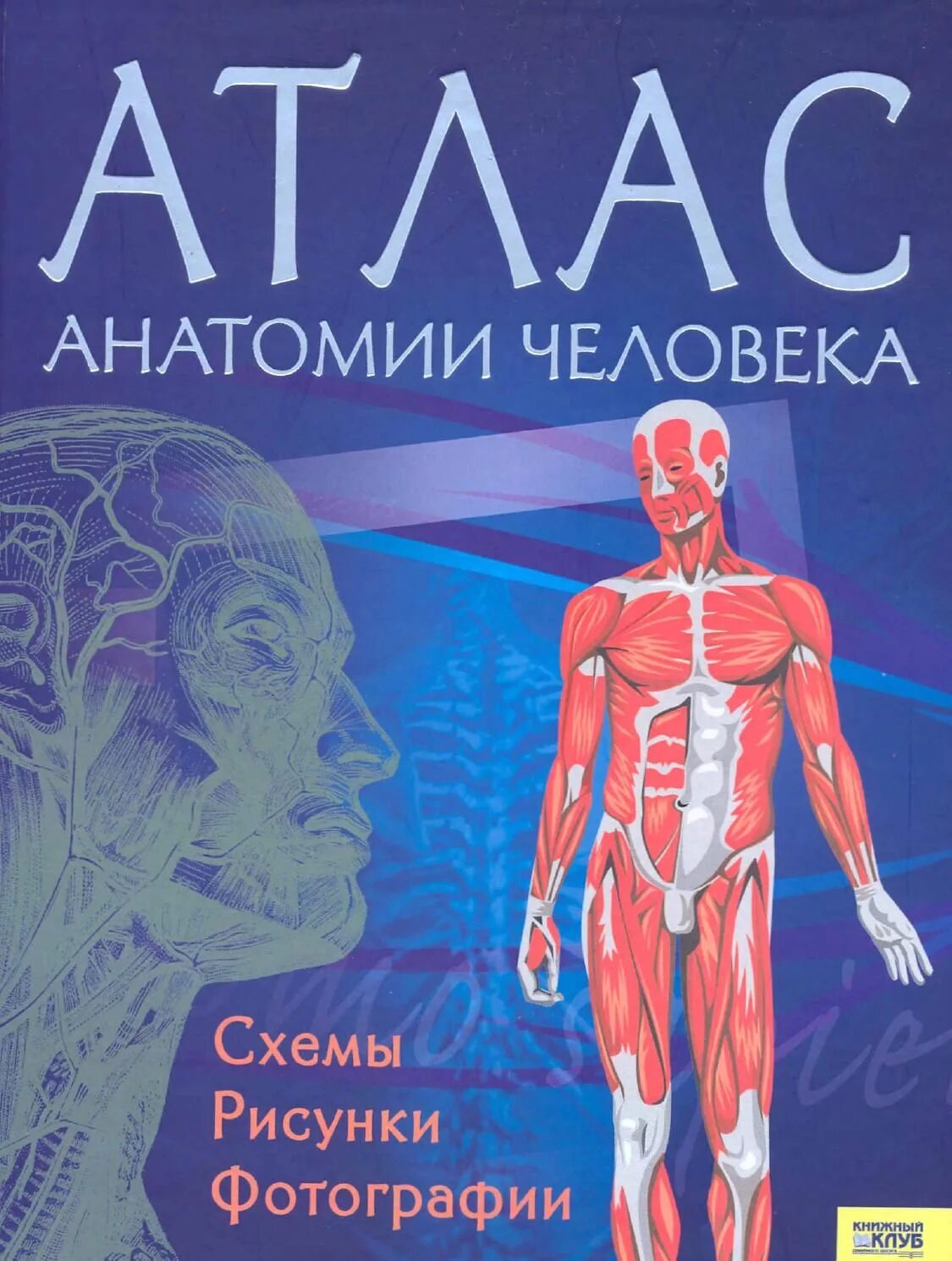 Электронная версия атласа. Атлас анатомии человека. Человек: атлас.. Анатомический атлас. Анатомический атлас человека.