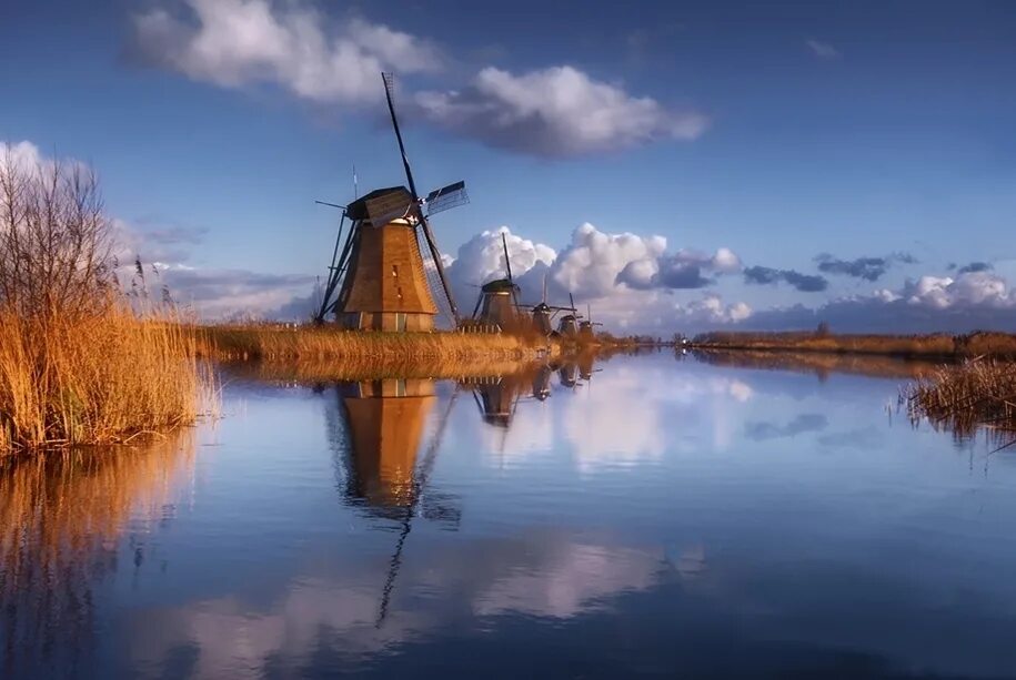 Мельница апрель. Киндердейк. Фрисландия Нидерланды природа. Красивые пейзажи с мельницей. Красивые пейзажи Голландии.