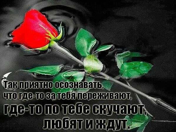 Важно знать что тебя любят. Приятно осознавать, что ты тоже чьи то грабли. Грустно осознавать. Приятно осознавать. Приятно осознавать.