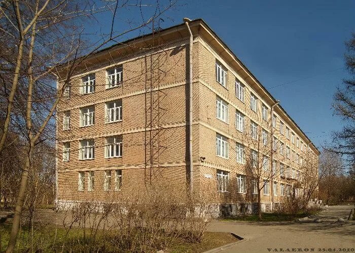 529 петергоф. 529 петергоф