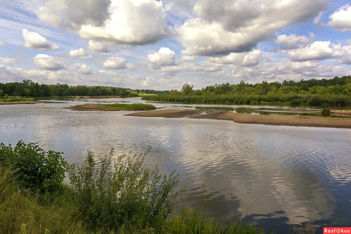 Исток реки неман. Отечественная война 1812 г нашествие армии наполеона на россию карта. Переправа через неман 1812 дата. Гродно неман озеро. Река неман застава.