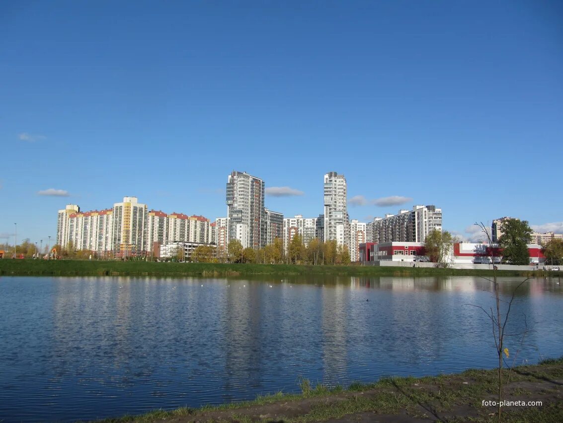 Парк озеро долгое санкт-петербург. Парк озеро долгое санкт-петербург. Долгоозерная озеро. Долгоозерная озеро. Долгоозерная озеро.