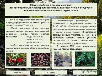 Виды заготовок растений