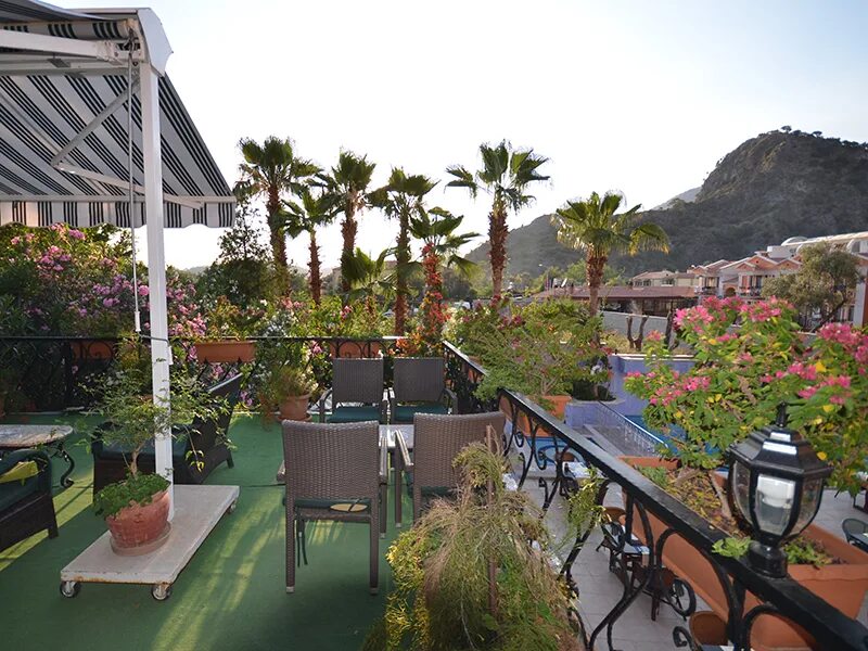 Tonoz beach hotel 3*. Belcekum beach hotel 4 олюдениз. Тоноз отель олюдениз. Тоноз отель олюдениз. Tonoz beach hotel.