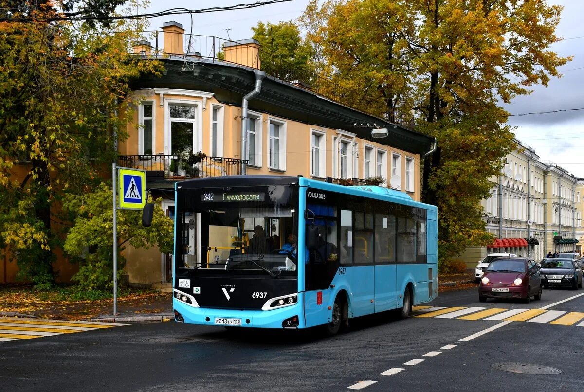 342 Автобус. Волгабас. 342 Автобус Химки. Волгабас 4298 новый.