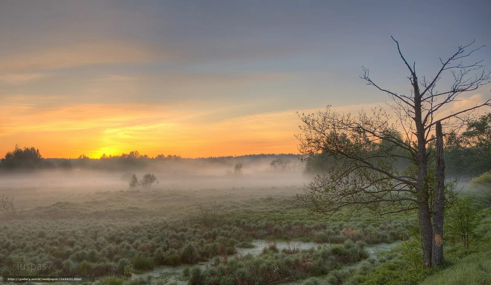 Белый камень заказник. Осень поле туман. Равнина в тумане. Степь под туманом. Ранний рассвет.