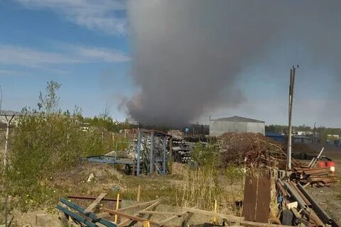 Погода янино 1