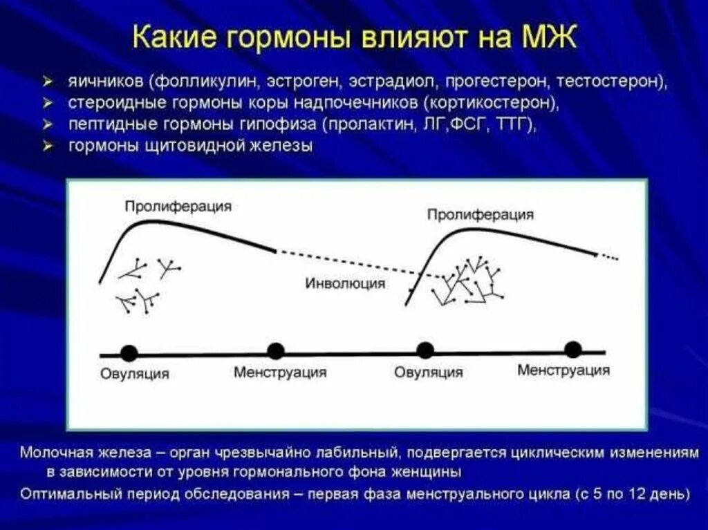 Гормоны для роста грудных желез у женщин. Влияние гормонов на молочные железы. Молочные железы для презентации. Гормон влияющий на молочные железы. Гормоны влияющие на рост молочных желез.