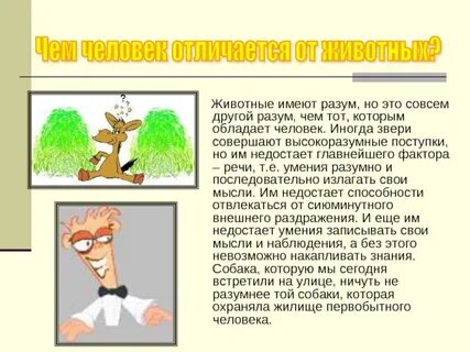Имеет интеллект