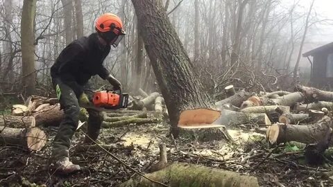 Блогерша бензопила в лесу