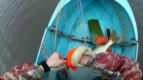 Проверяем сети видео