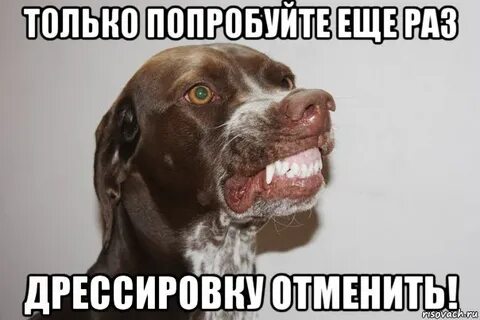 Что тебе пусто было