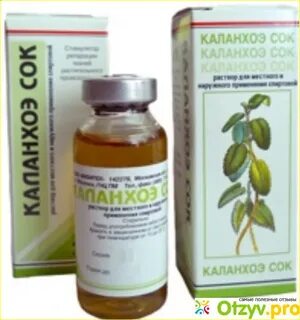 Сок каланхоэ