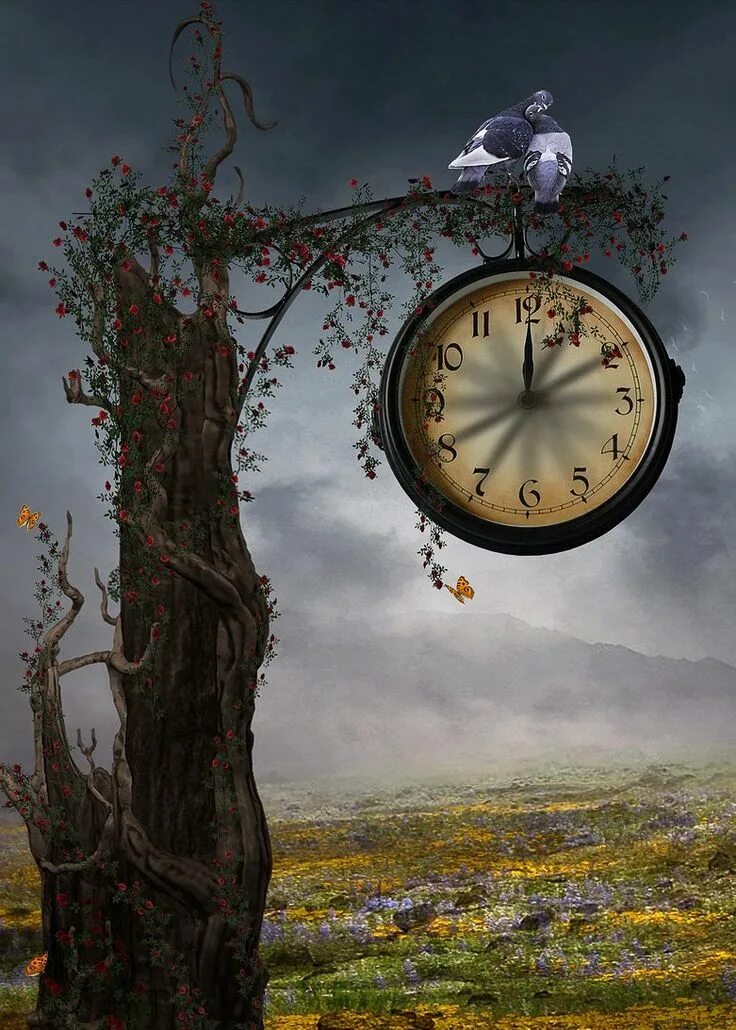 Tree hours