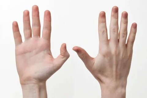 Рука на белом фоне (191 фото) 